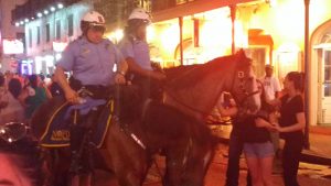 tiny travel chick new orleans police horse