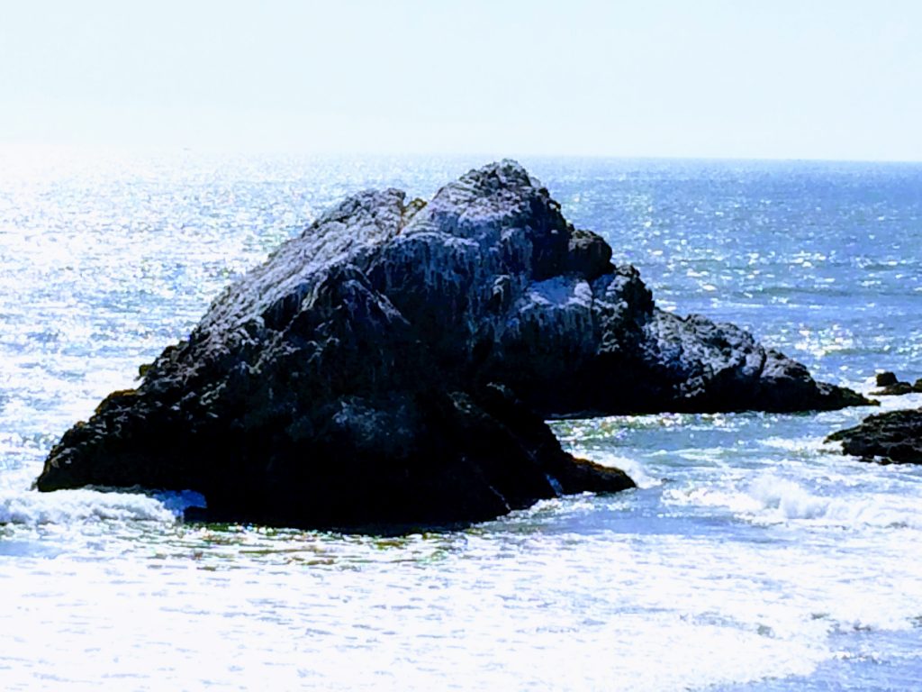 tiny travel chick things to do in california seal rock san francisco