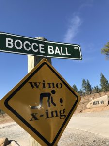 tiny travel chick best travel experience saluti cellars bocce ball sign