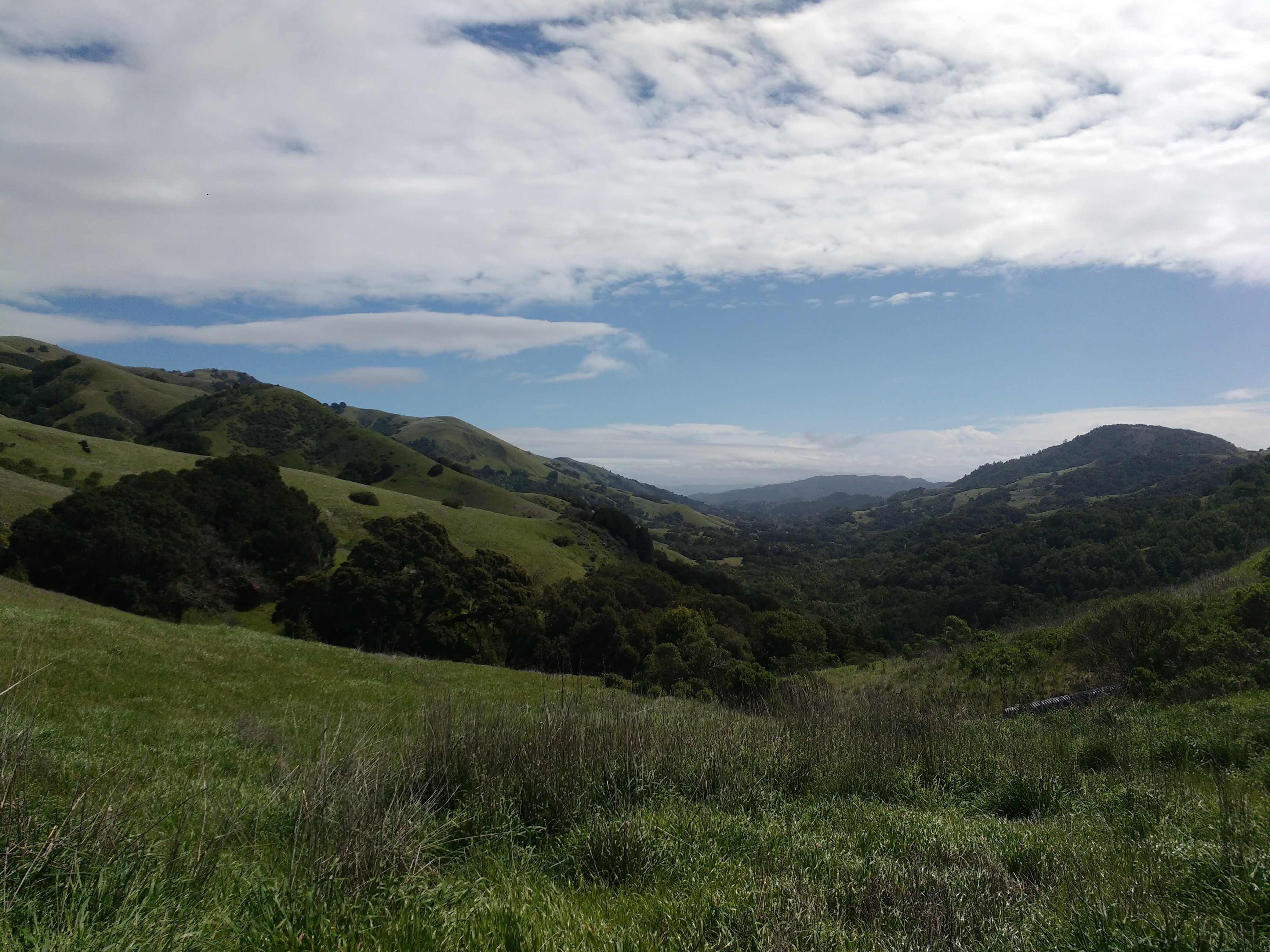 tiny travel chick most memorable travel experience lucas valley preserve view