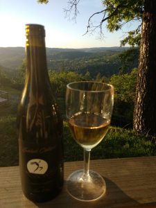 tiny travel chick best travel experience tiny house wine on the deck