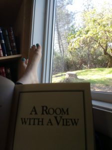 tiny travel chick best travel experience tiny house room with a view