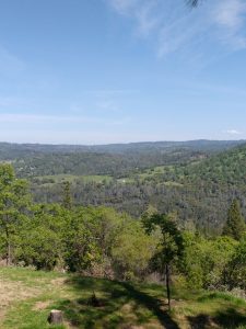 tiny travel chick best travel experience tiny house view