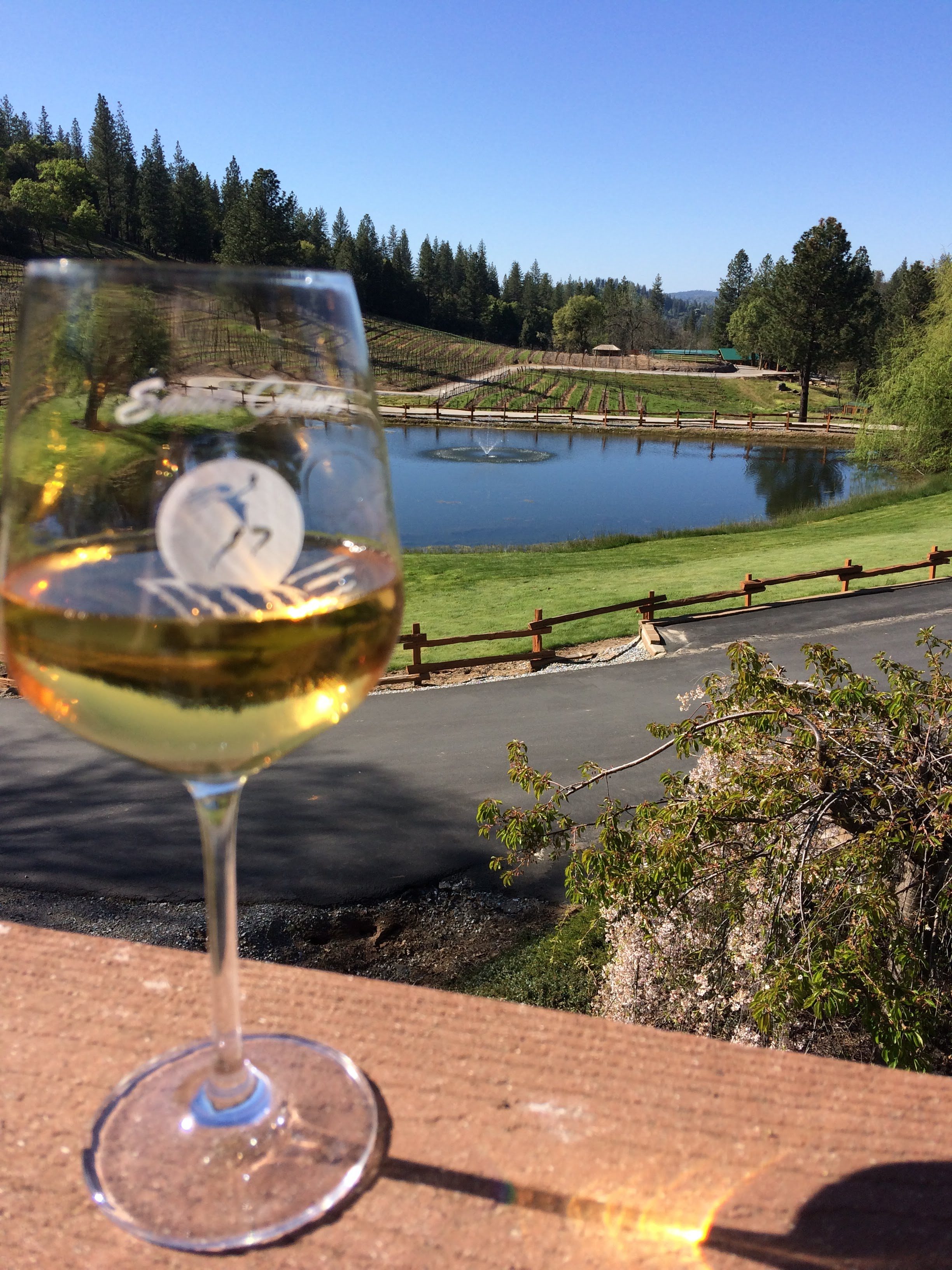 tiny travel chick beautiful places in california to visit saluti cellars
