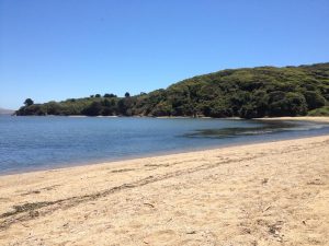 tiny travel chick most memorable travel experience marshall beach camping