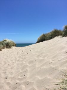 tiny travel chick most memorable travel experience limantour beach