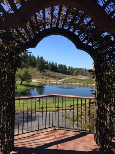 tiny travel chick best travel experience saluti cellars view