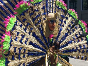 tiny travel chick travel experience carnavl peacock