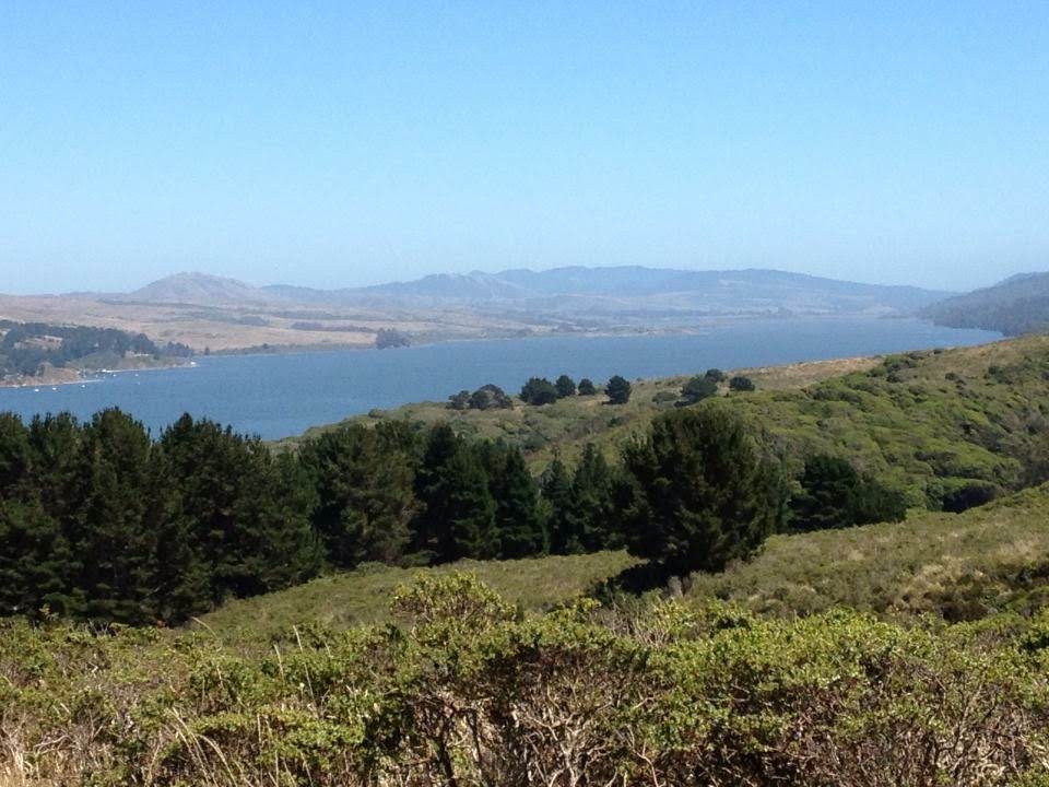 tiny travel chick most memorable travel experience tomales bay ca