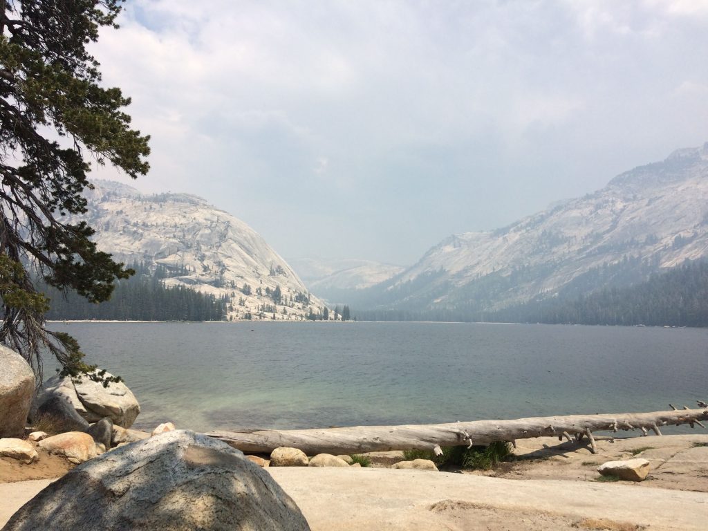 tiny travel chick amazing travel yosemite tenaya lake