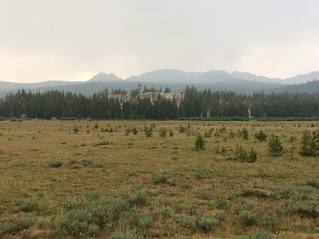 tiny travel chick amazing travel yosemite toulumone meadows