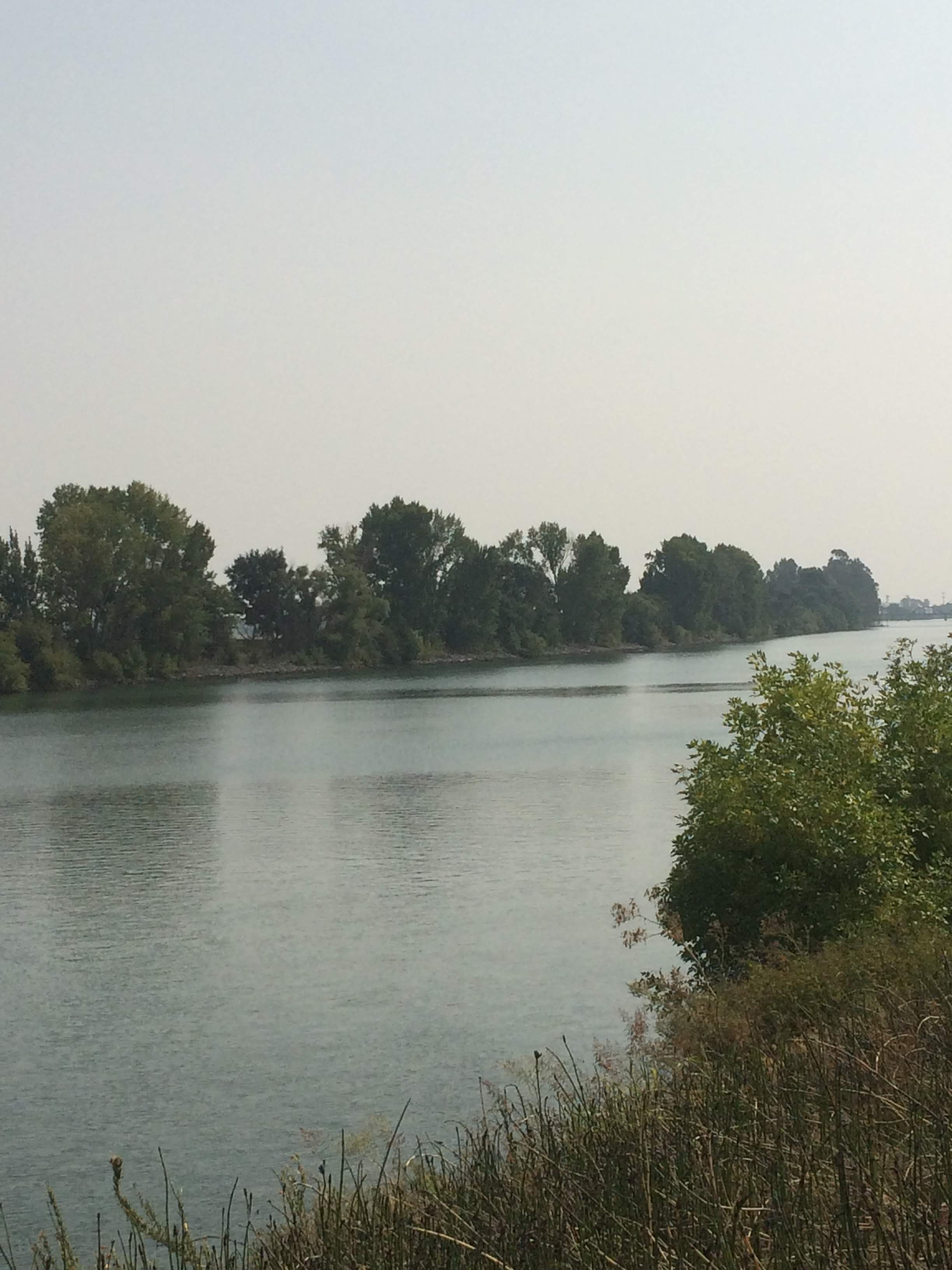 tiny travel chick fun travel isleton ca river delta