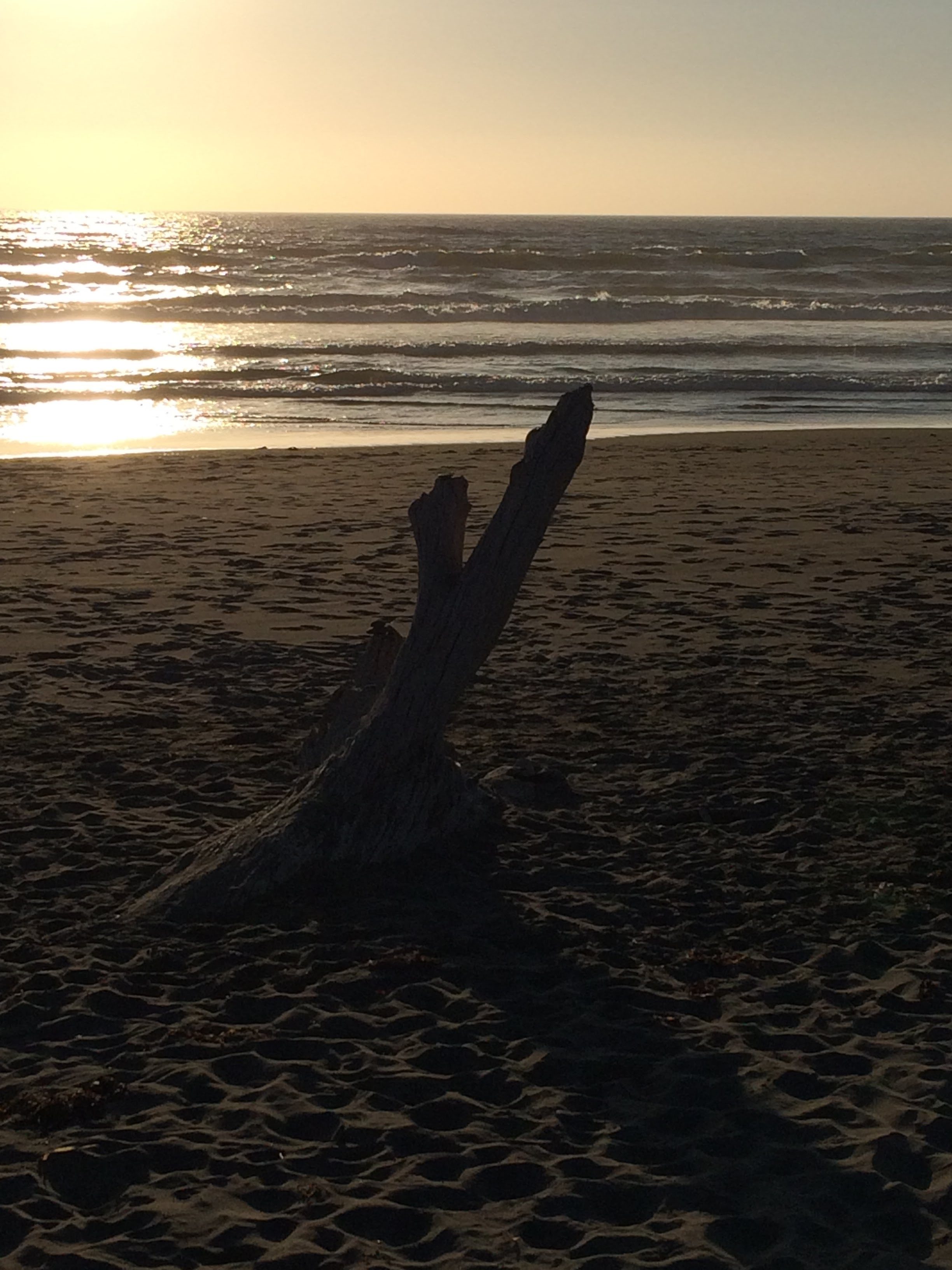 tiny travel chick incredible travel arcata mad river beach