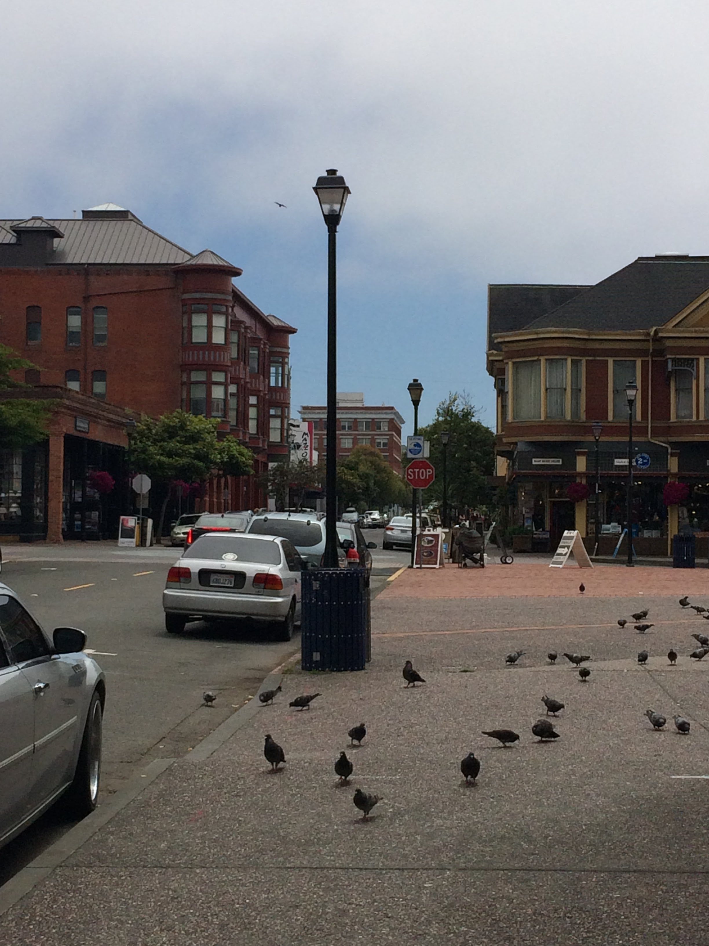 tiny travel chick incredible travel eureka california