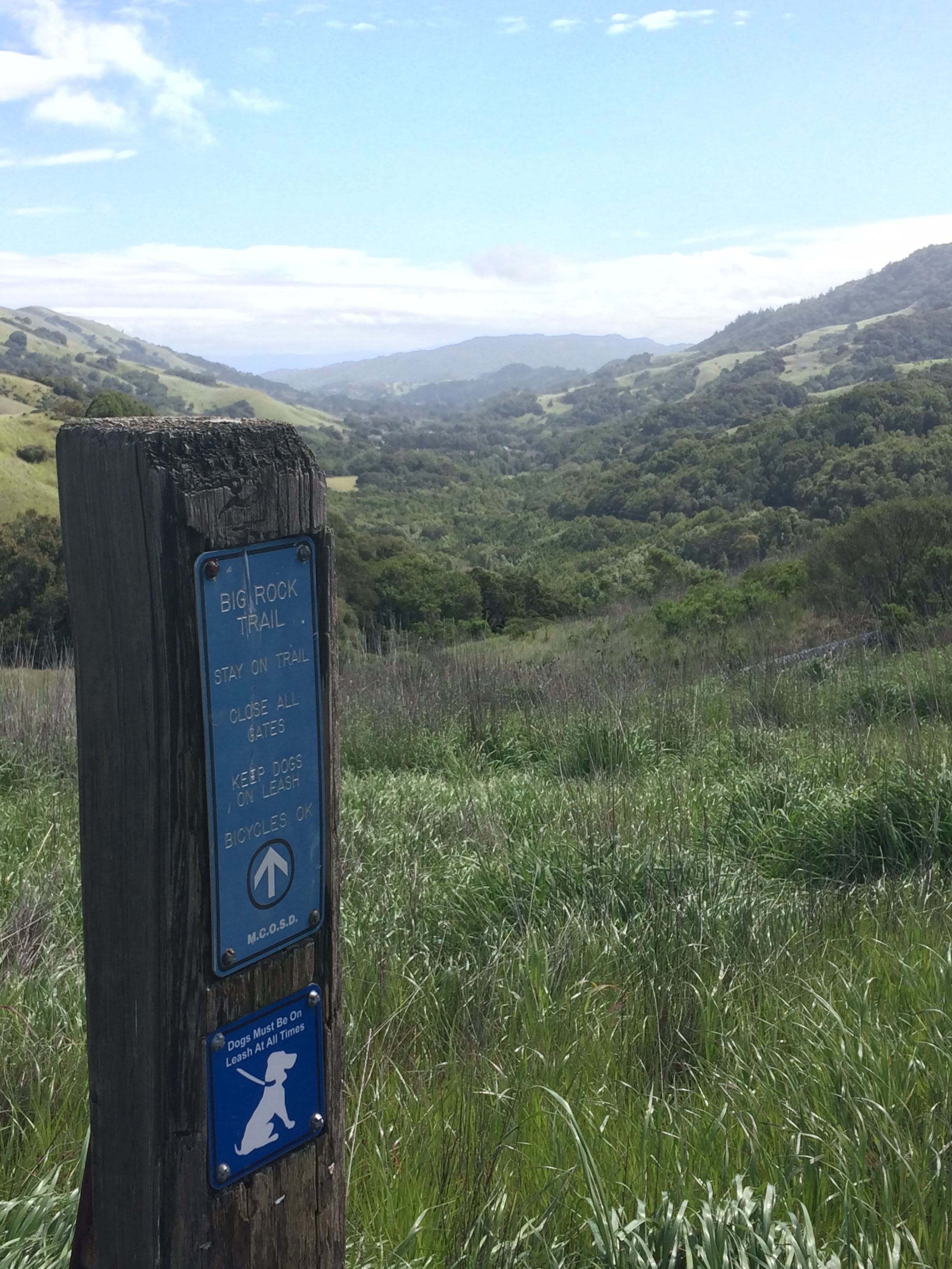 tiny travel chick places to hike in california lucas valley preserve