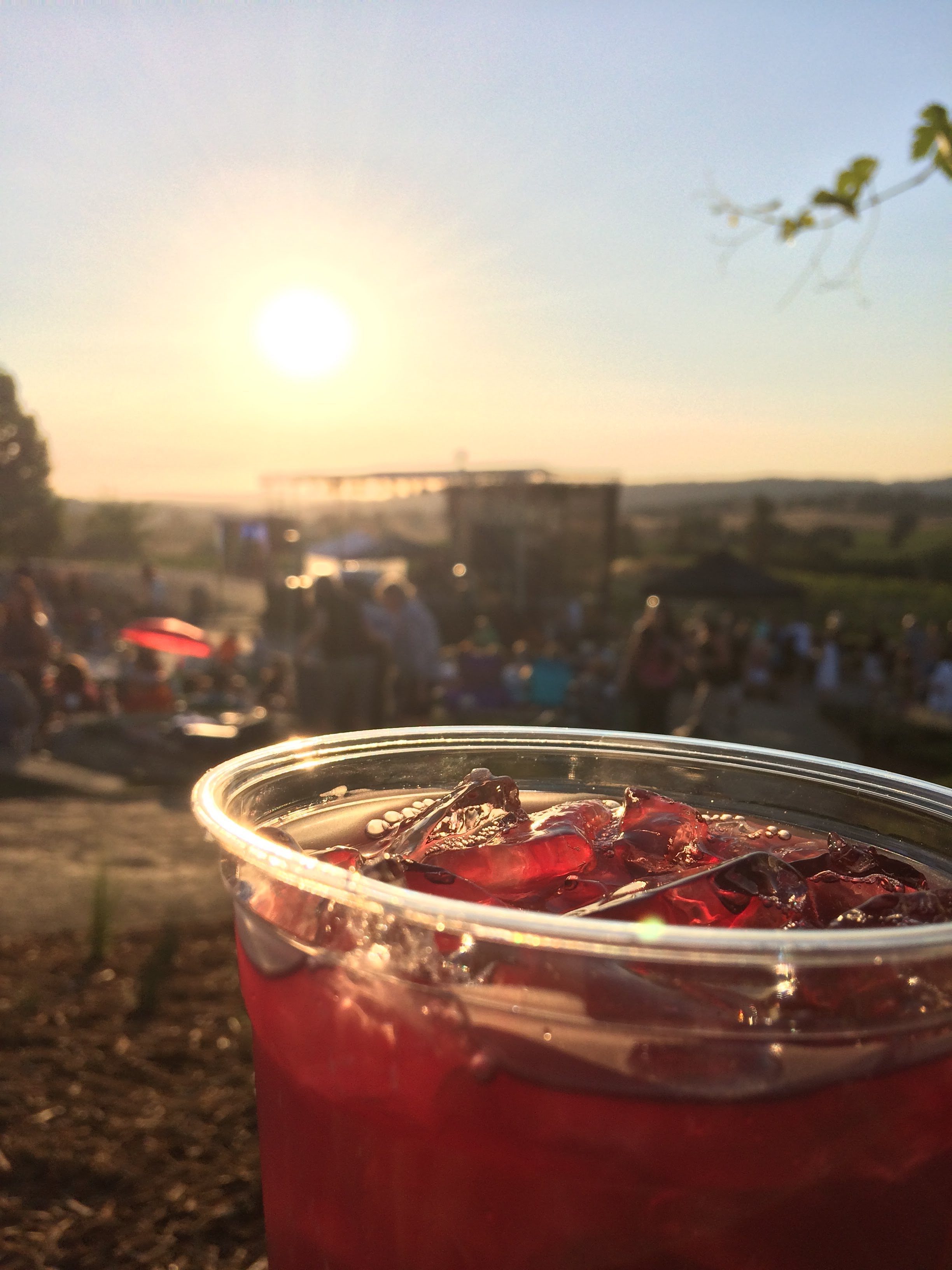tiny travel chick beautiful places in california to visit helwig winery summer concerts