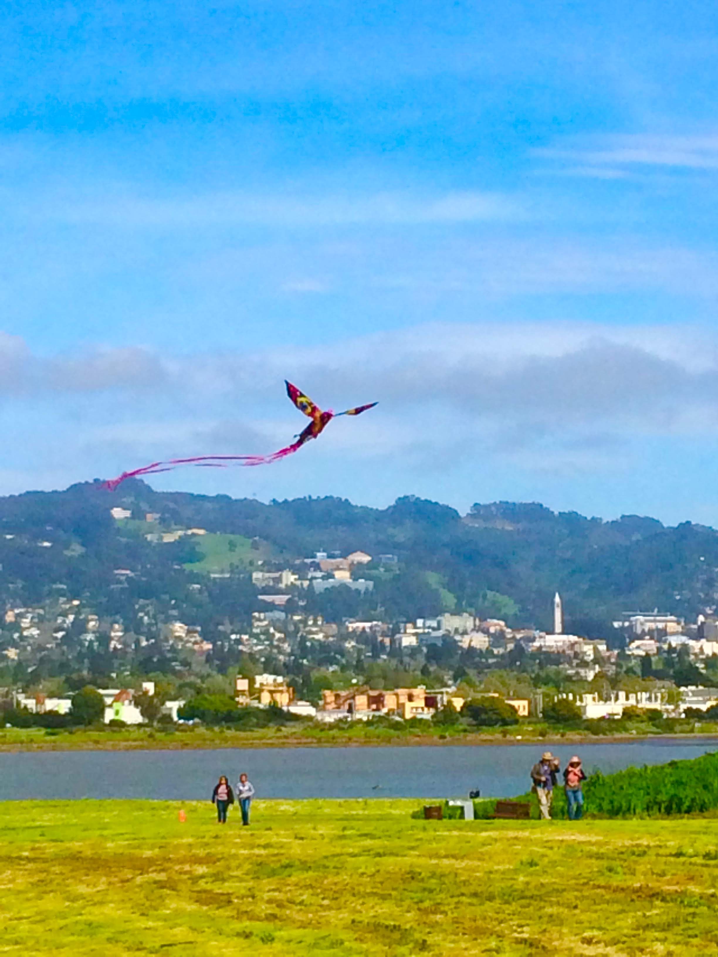 tiny travel chick things to do in the east bay area cesar chavez park