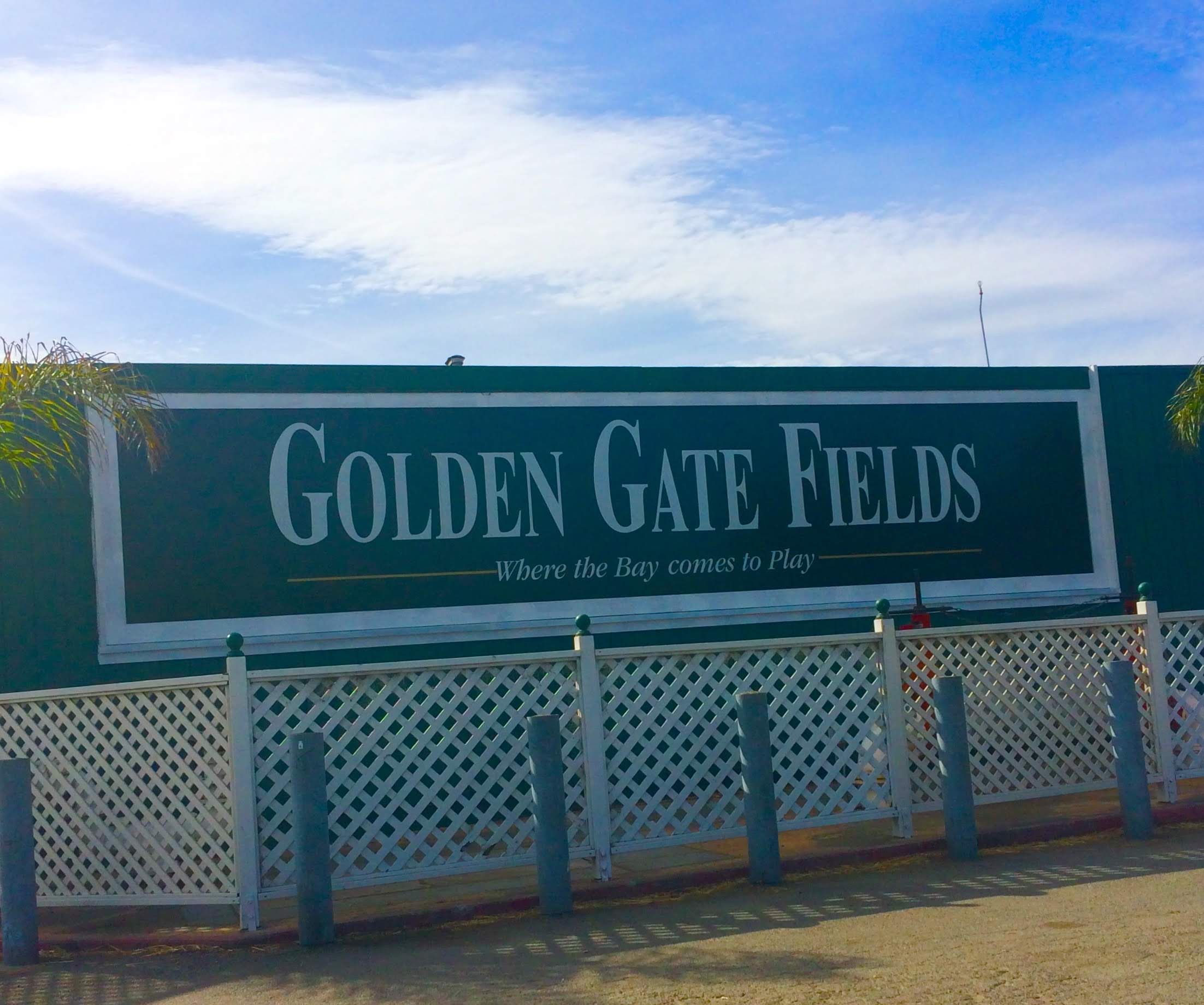 tiny travel chick things to do in the east bay area golden gate fields sign