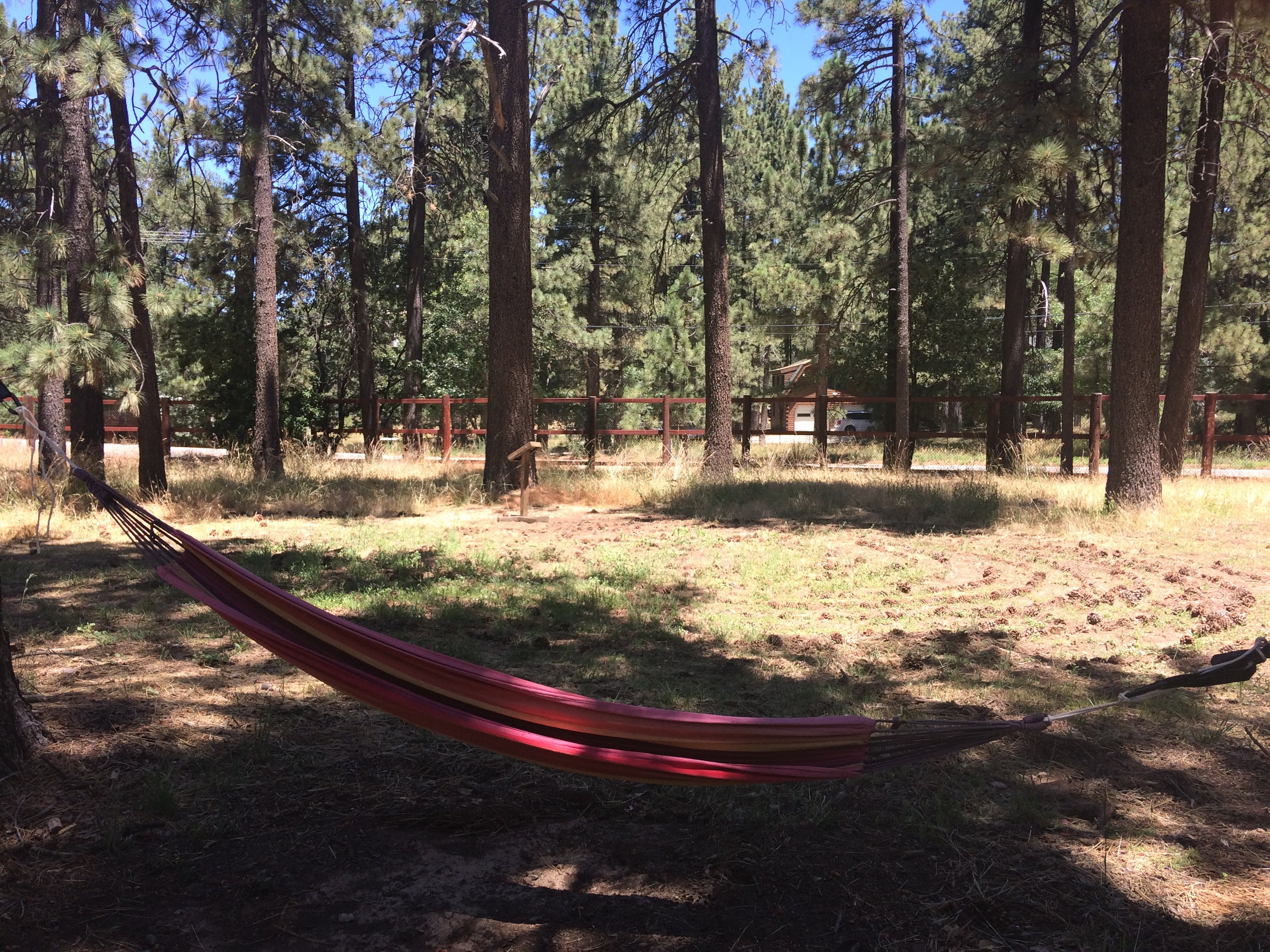 tiny travel chick tiny house block hammock