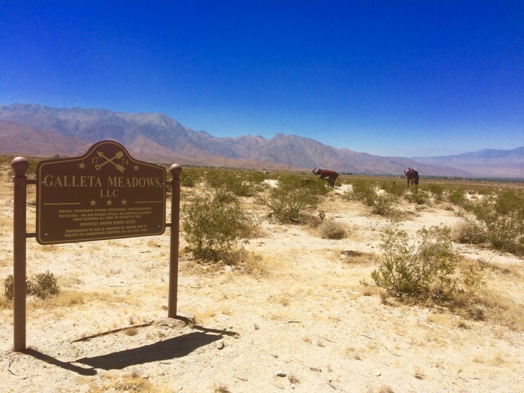 tiny travel chick unique things to do in southern california galleta meadows 