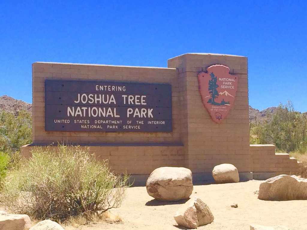 tiny travel chick national park glamping joshua tree national park 