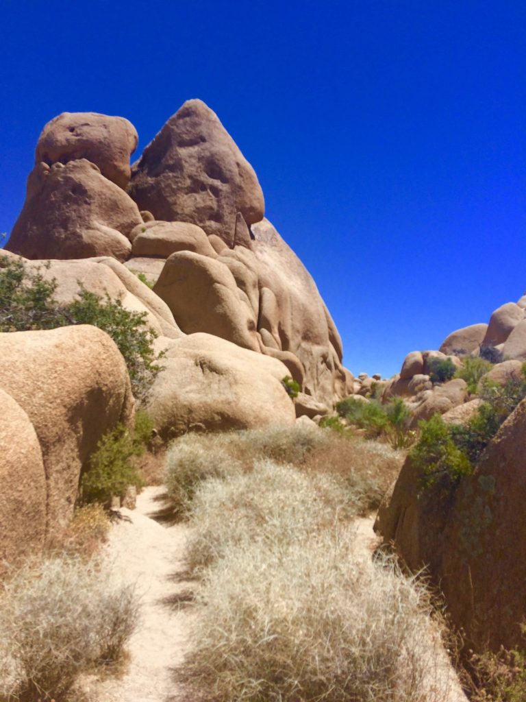 tiny travel chick unique things to do in southern california joshua tree park rock formations