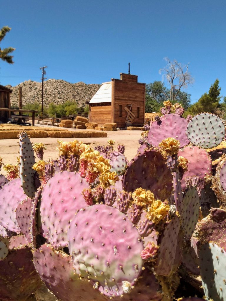 tiny travel chick unique things to do in southern california pioneer town cactus