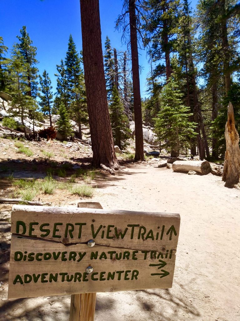 tiny travel chick unique things to do in southern california desert view trail