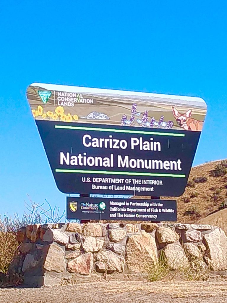 tiny travel chick unique things to do in southern califiornia carrizo plain national monument