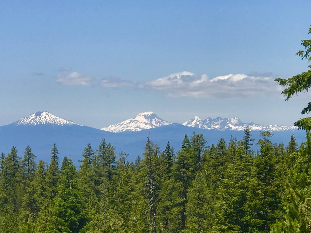 tiny travel chick tiny house airbnb mountain views oregon