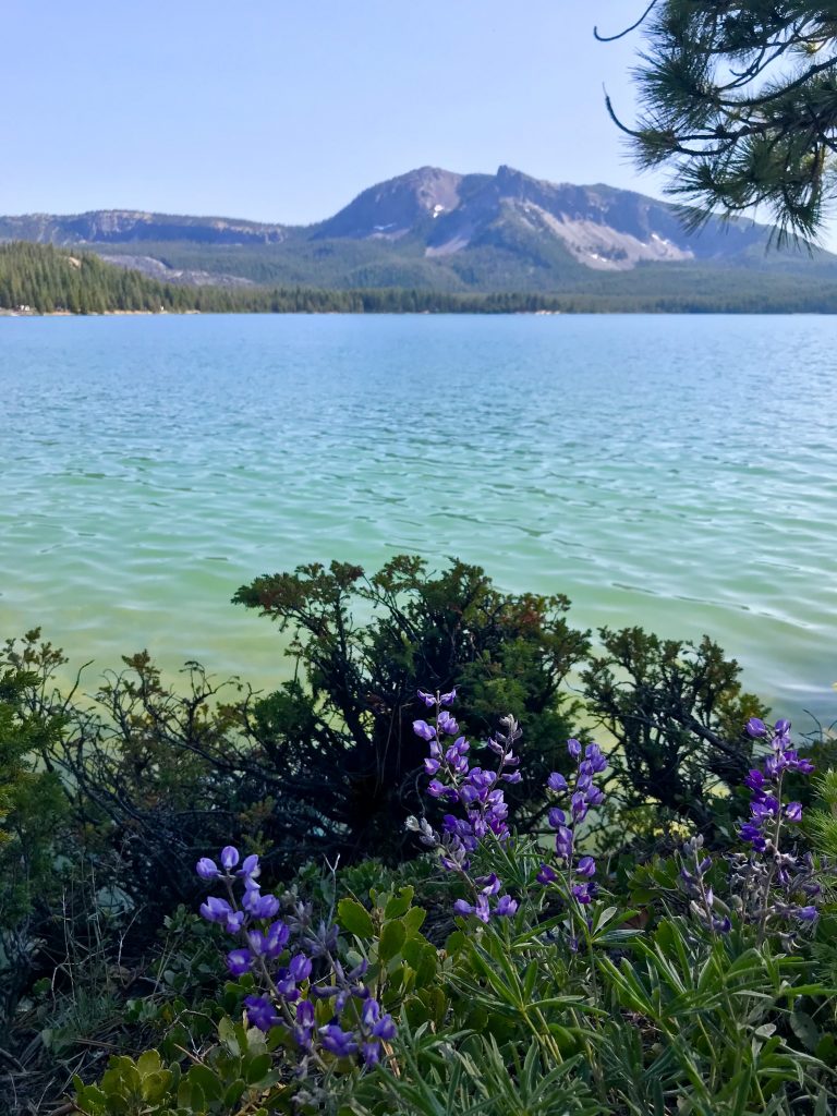 tiny travel chick tiny house airbnb paulina lake oregon 