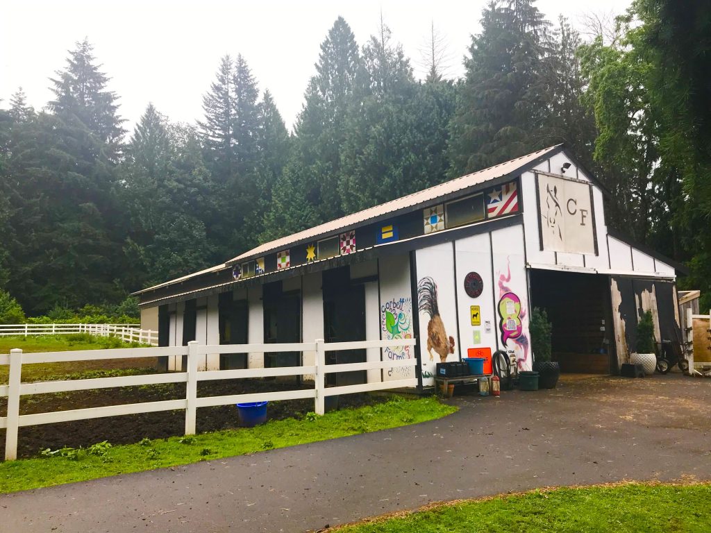 tiny travel chick glamping in a barn stall