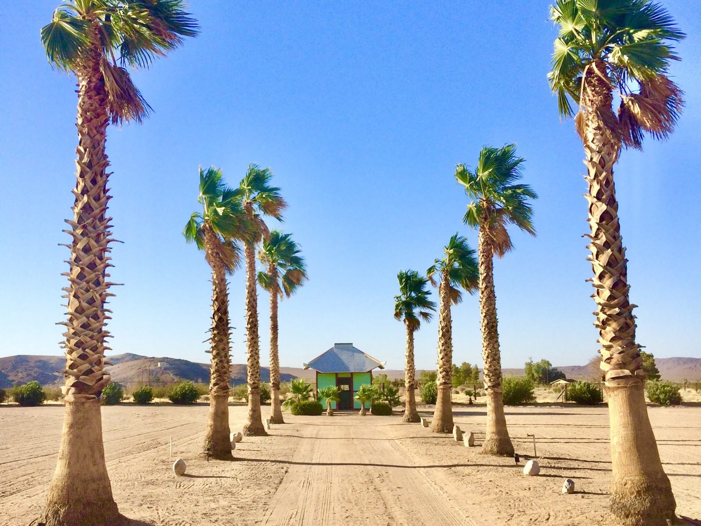 tiny travel chick national park glamping joshua tree california