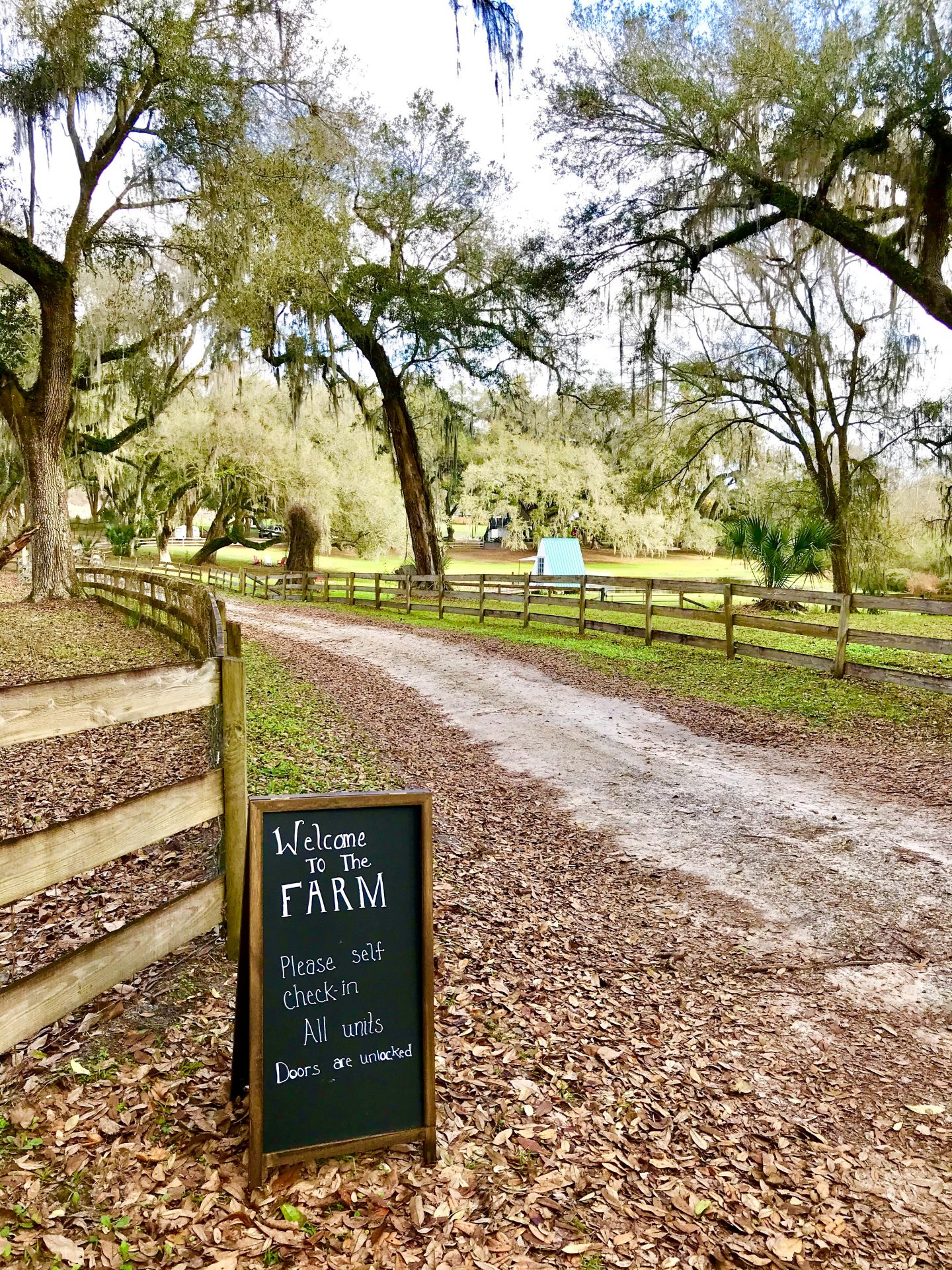 tiny travel chick florida springs enchanted oaks farm 