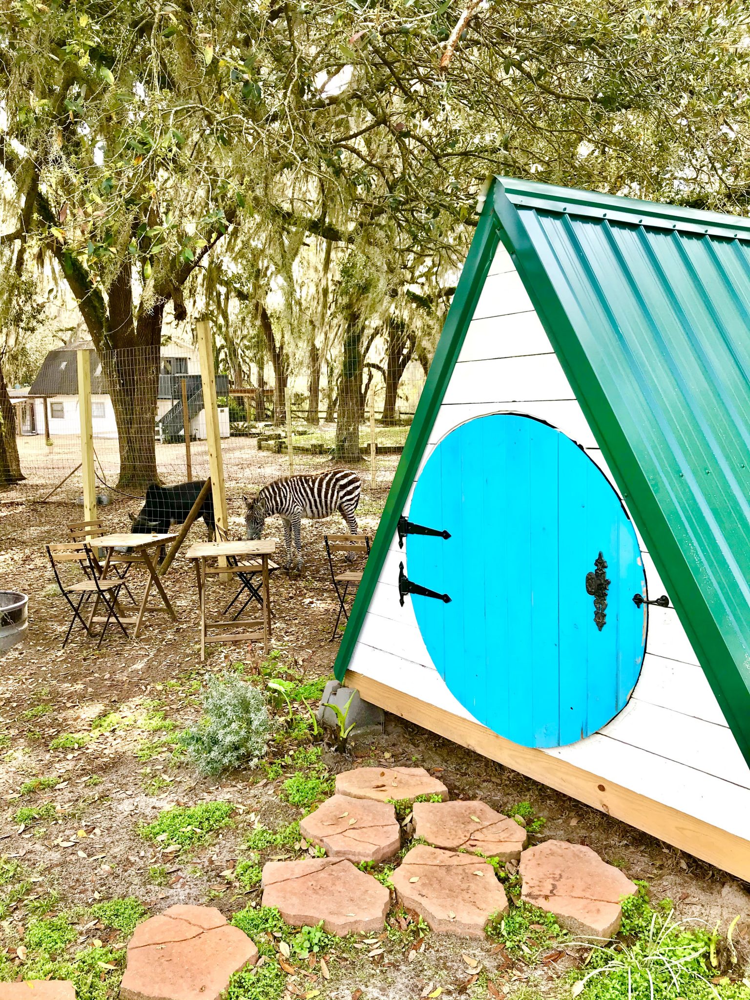 Florida Springs Tiny House Getaways Tiny Travel Chick
