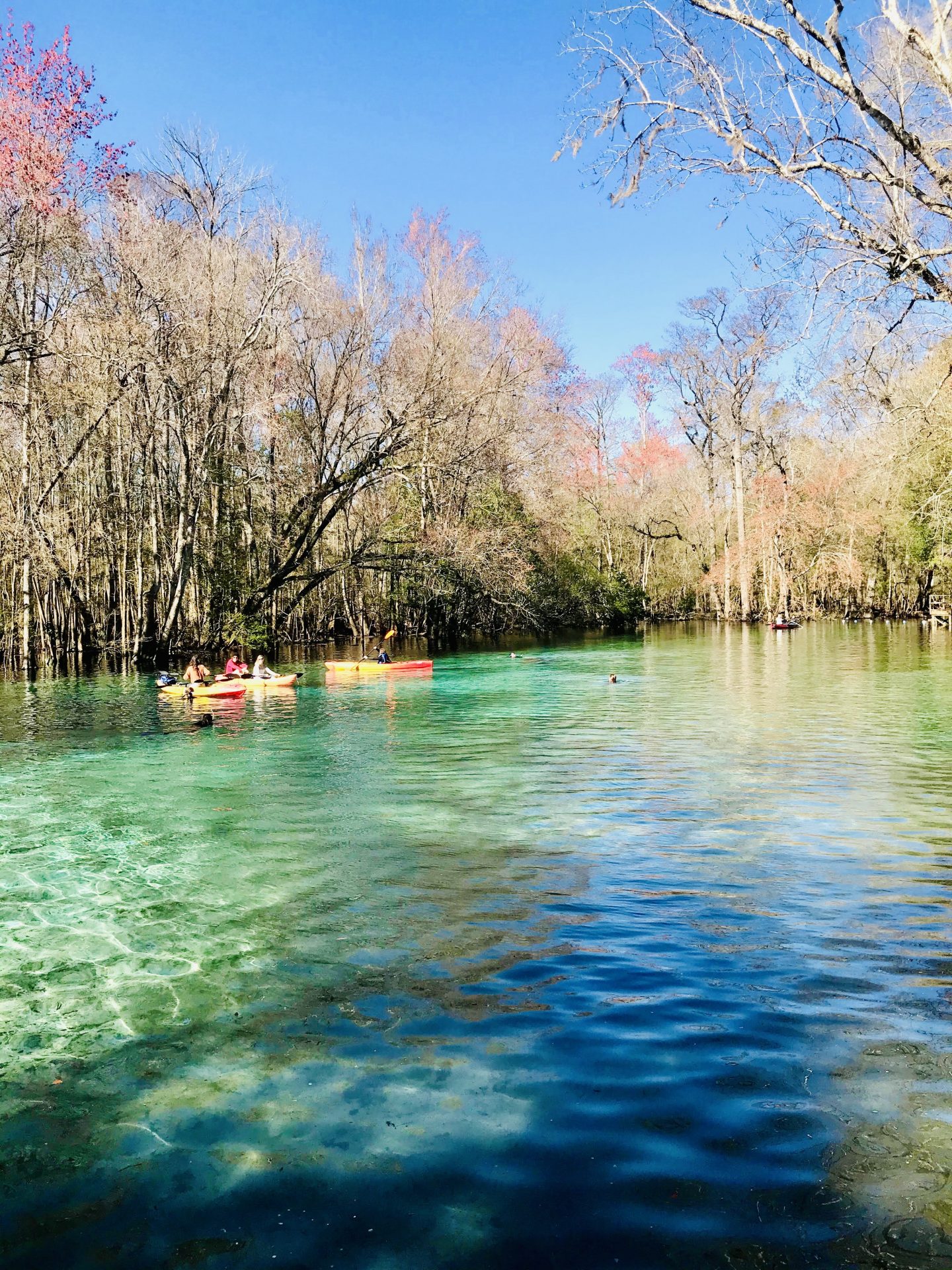 tiny travel chick florida springs gilchrist state park