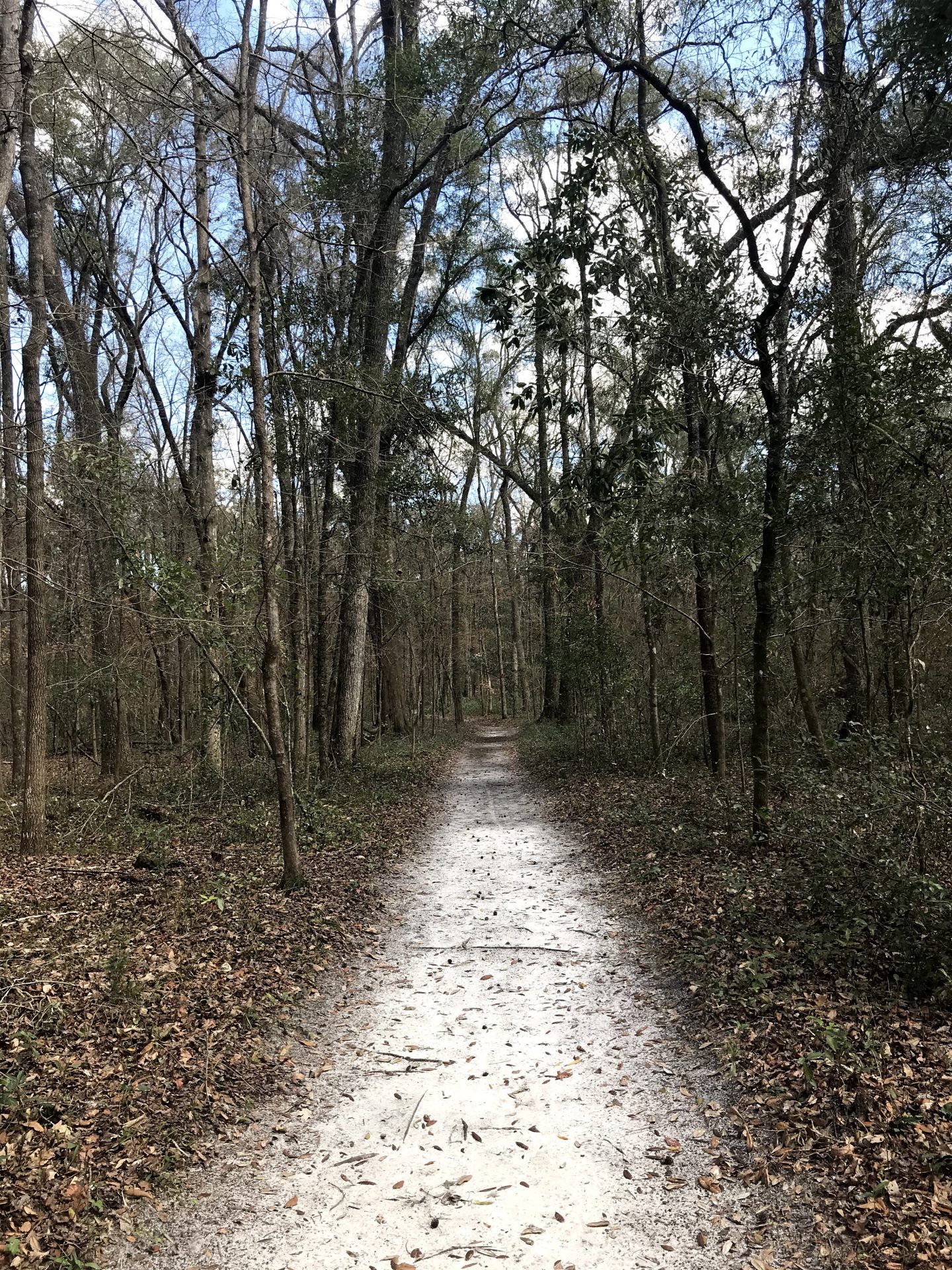 tiny travel chick florida springs hiking trails ichetucknee state park